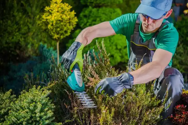 landscaping services Smithville